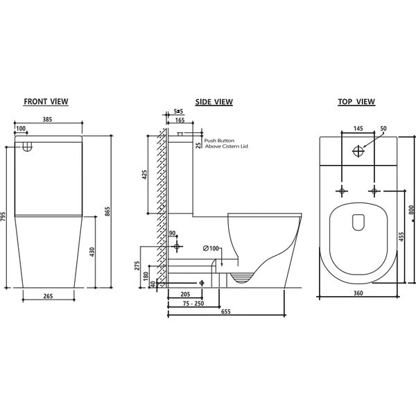 Cara Care Wall faced Rimless Toilet Suite